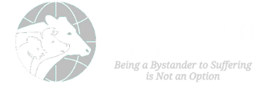 Greenbaum Foundation