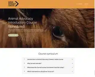 animal advocacy introduction course
