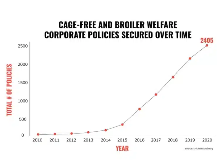 Cage-free and broiler welfare corporate policies secured over time
