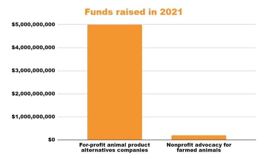 funds raised in 2021