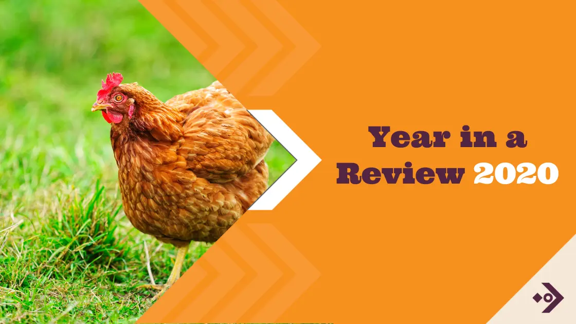 AAC 2020 year in review