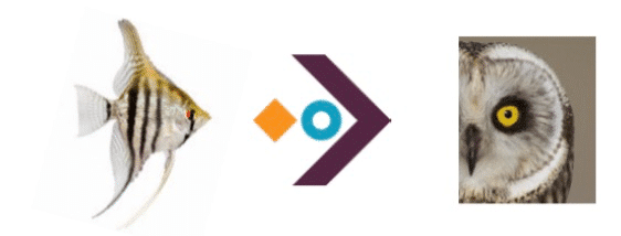 logo symbolise