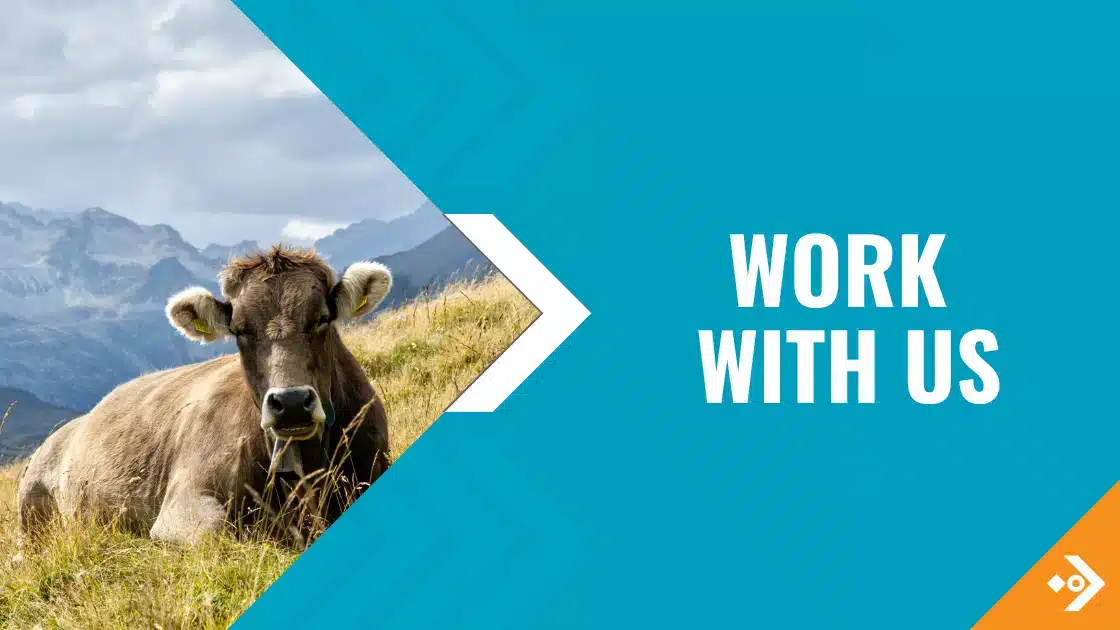 Work With Us