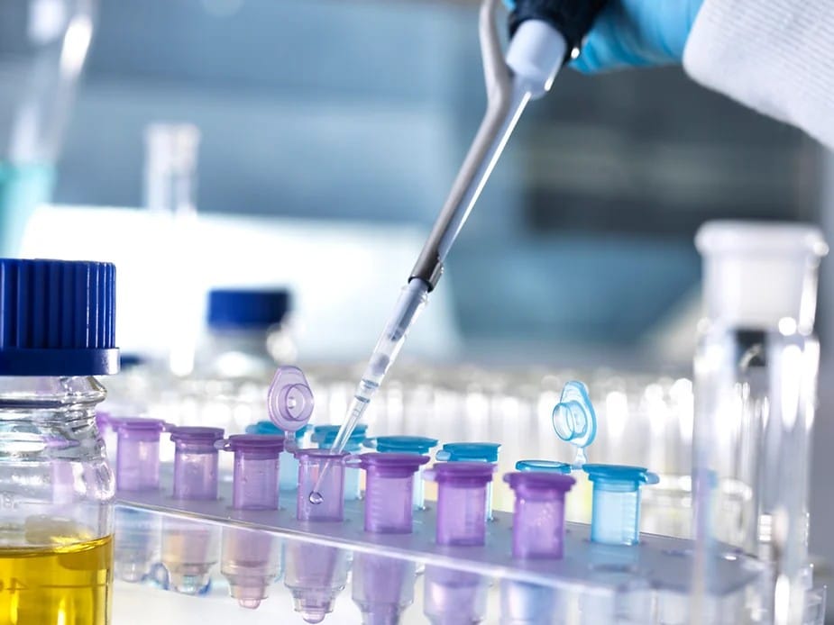 Vegan Jobs: Work in Research