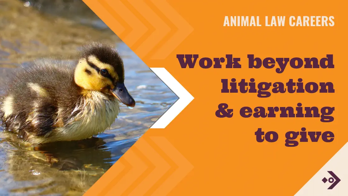 Work beyond litigation and earning to give