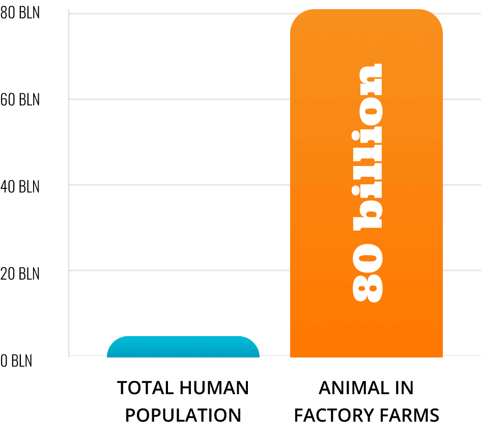Animals slaughtered per year compared to human population chart