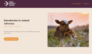 introduction to animal advocacy