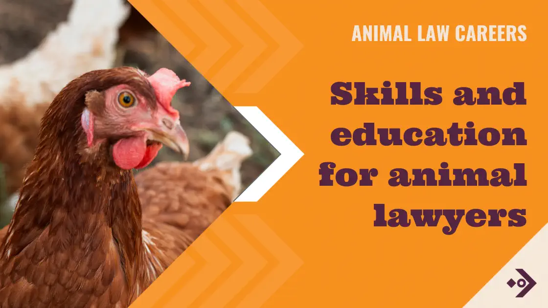 Skills-animal-lawyers