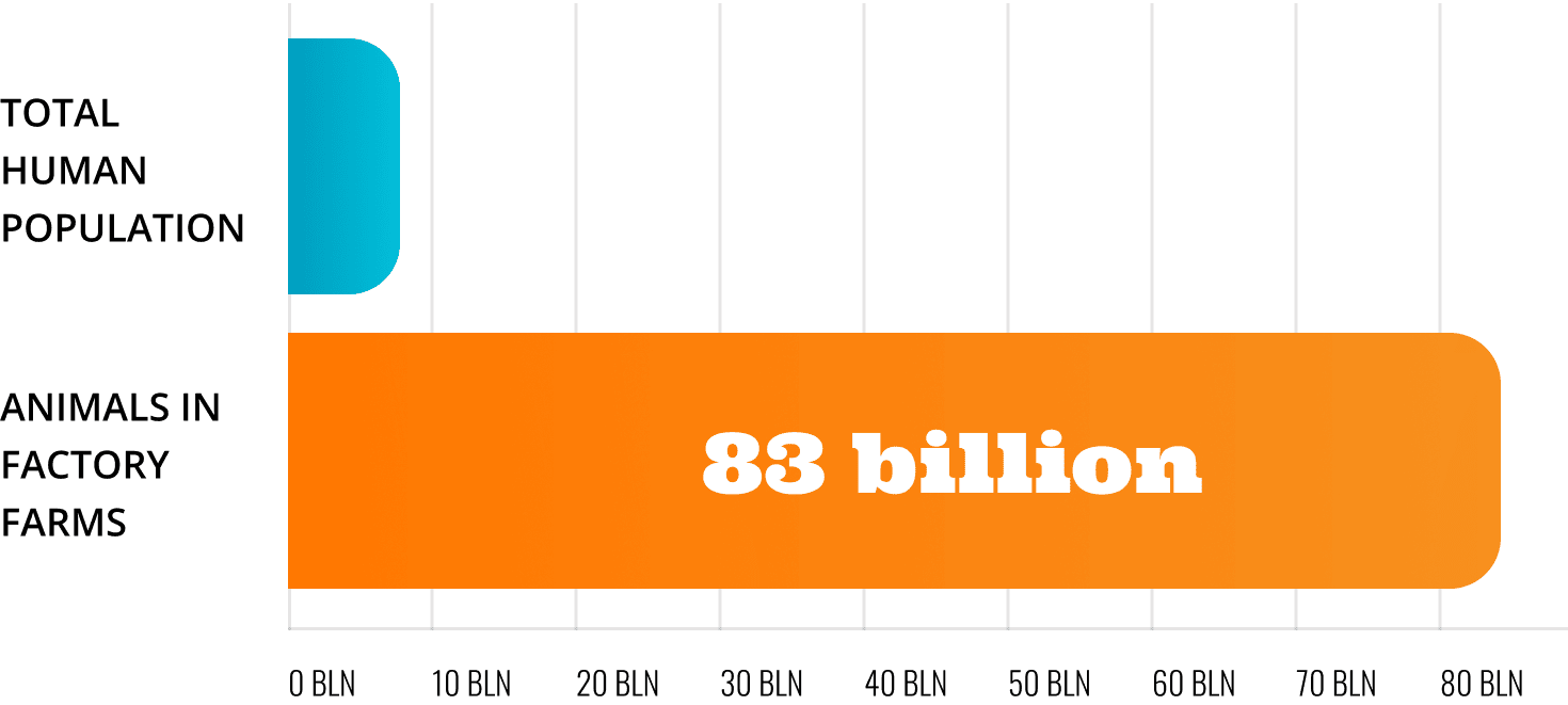 Animals slaughtered per year compared to human population chart