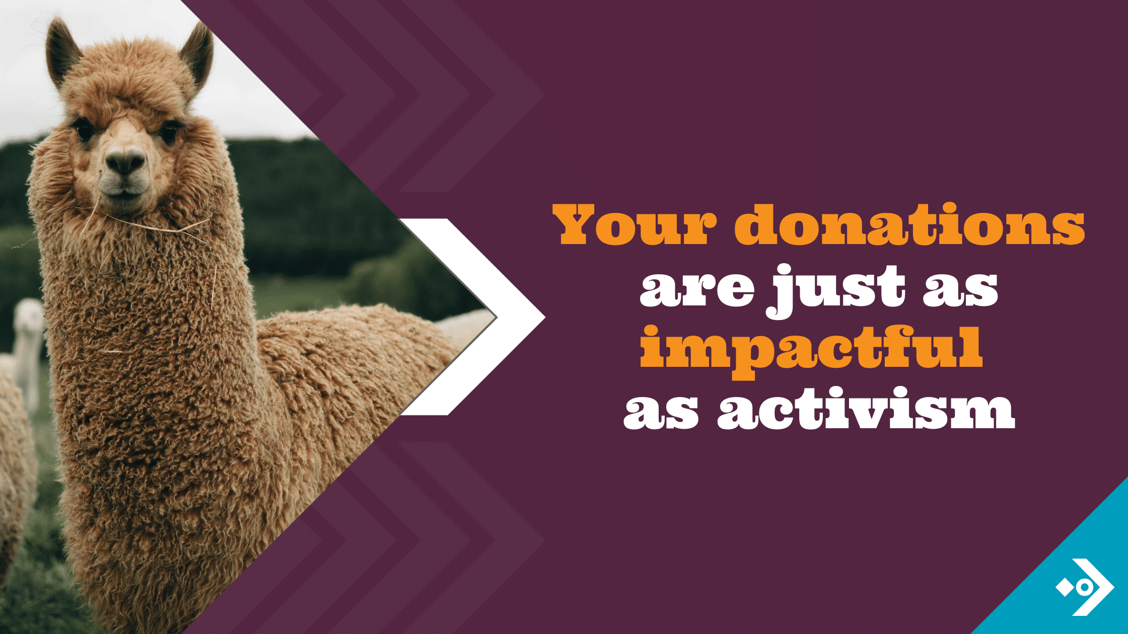 Donations are as impactful as activism