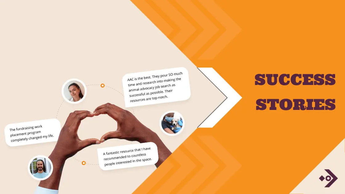 Success Stories