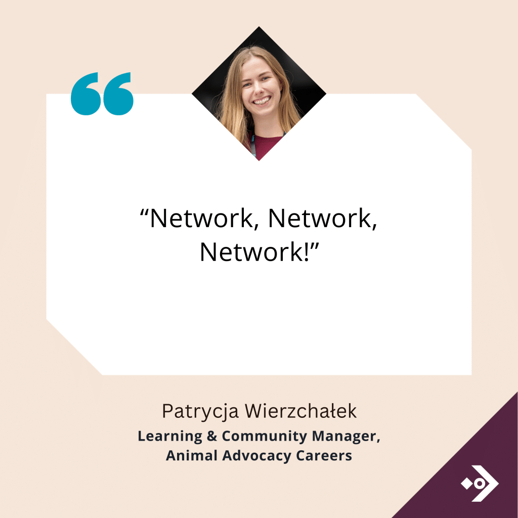 Network, Network, Network! - Patrycja Wierzchalek