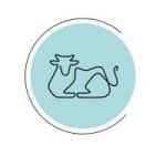 Animal Law Focus