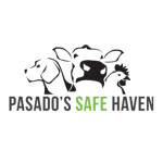 Pasado's Safe Haven