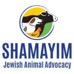 Shamayim: Jewish Animal Advocacy